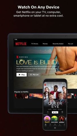 Netflix 國內(nèi)版3