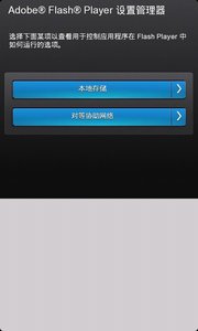 Adobe Flash Player1