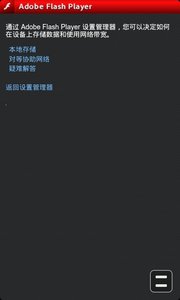 Adobe Flash Player2