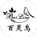 百靈鳥測試版框架