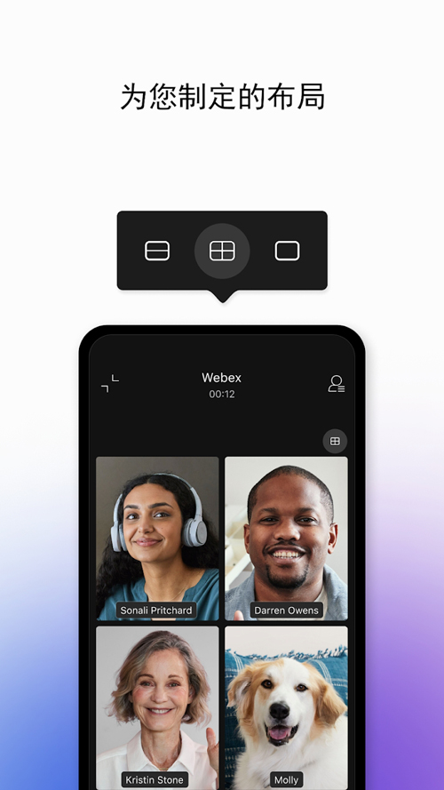 webex 官方正版2