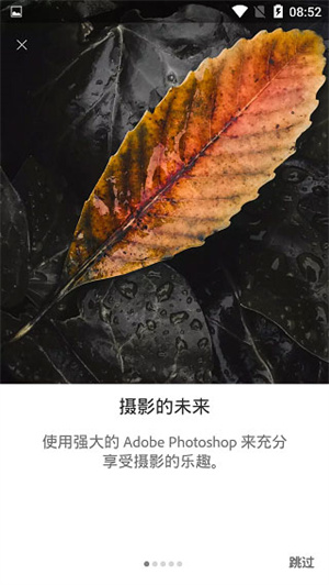 lightroom安卓手機版1