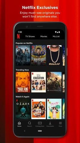 奈飛netflix 正版1