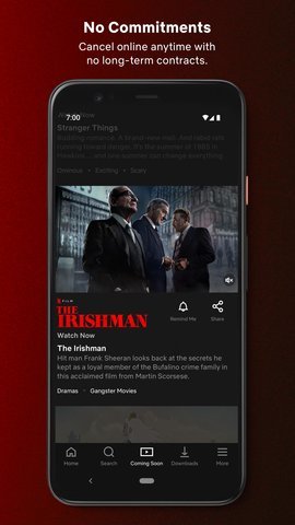 奈飛netflix 正版3