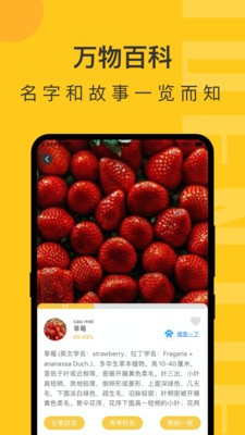 隨手拍照識物1
