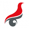 學信網(wǎng)安卓版