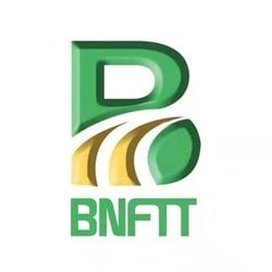 BNFTT幣|BNFTX Token