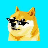 DOGE 0.1幣/Dogelogy
