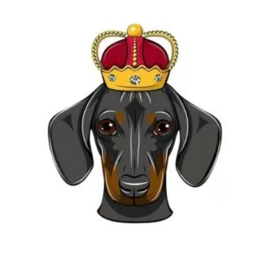 DogeKing交易所|DOGEKING交易平臺