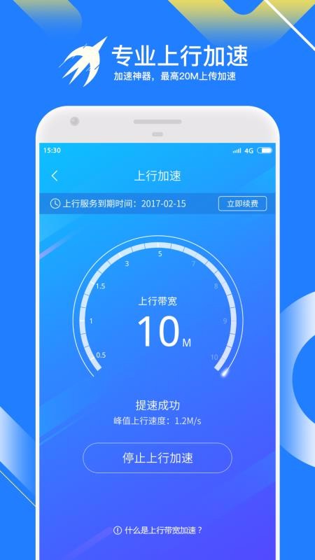 迅雷快鳥(niǎo)1