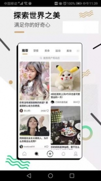 綠洲0