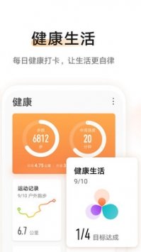 華為運動手環2