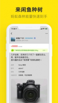 閑魚二手回收4