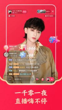 快手極速版普通版20242
