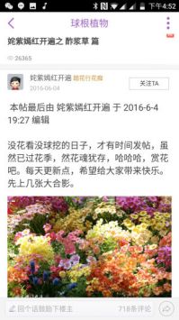 踏花行1