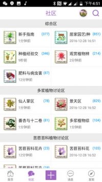 踏花行3