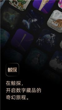 鯨探數字藏品0