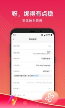 花生殼管理2