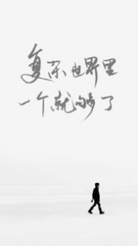 one一個就夠了成年的世界致敬韓寒版app1