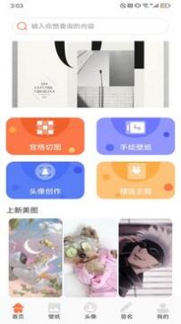 Wallhaven壁紙app手機版1