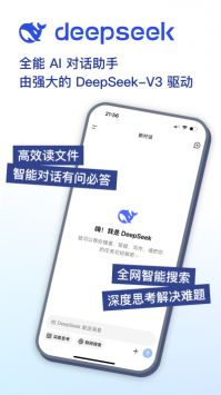 DeepSeek正版手機版3