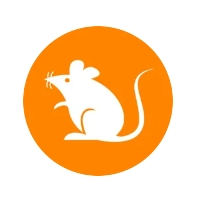$rats交易所|RATS交易平臺